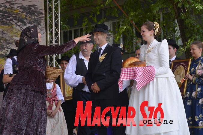 Fotó: Molnár Edvárd