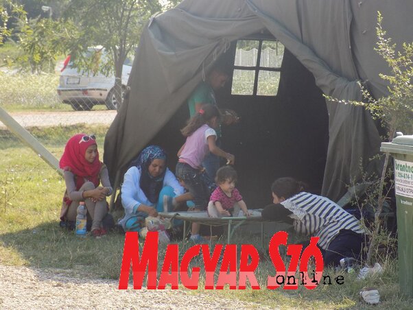A Magyarkanizsára érkező menekülteket ezentúl sátrakban helyezik el