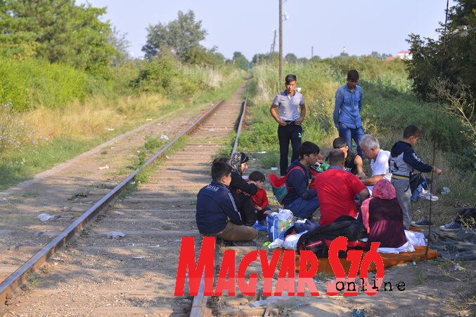 (Fotó: Molnár Edvárd) (Fotó: Molnár Edvárd)