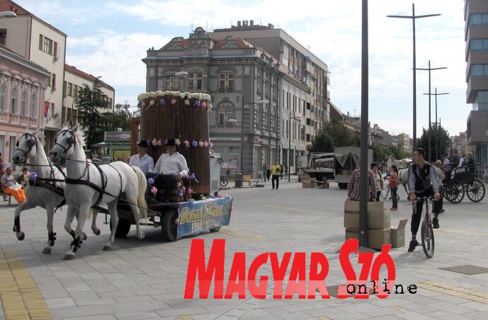 Nem tolongtak az ingyensörért (Fotó: Kecskés István)