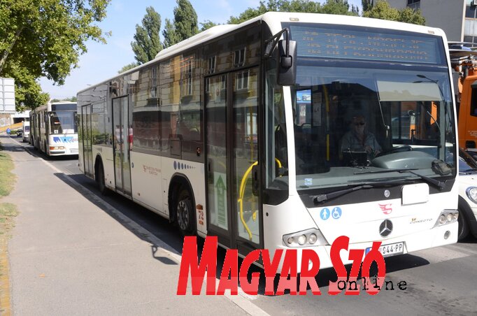 (Fotó: Molnár Edvárd)