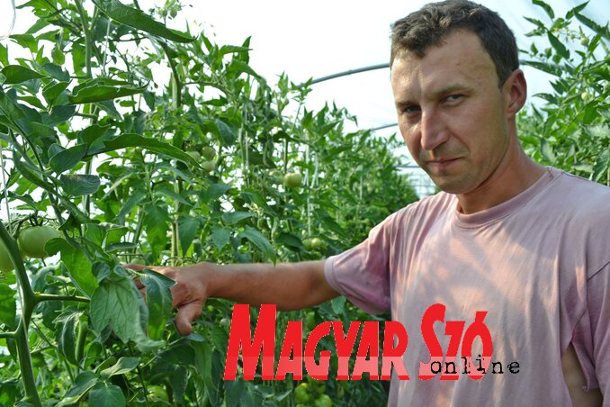 1. Csáp Ferenc Róbert (Fotó: Léphaft Pál) 1. Csáp Ferenc Róbert (Fotó: Léphaft Pál)