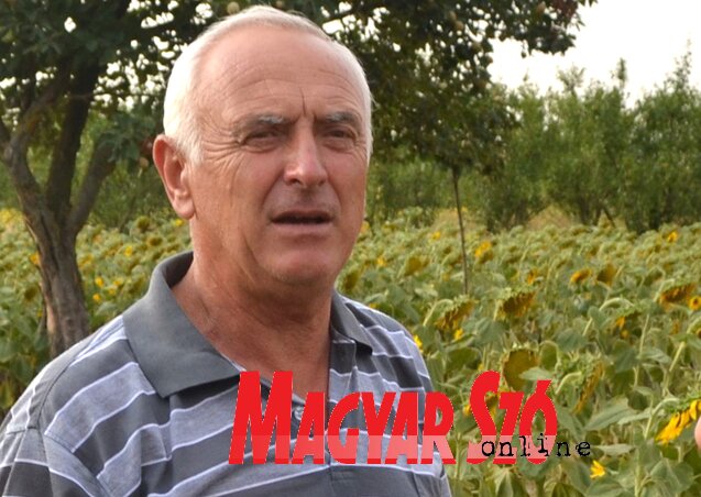 Horváth István (Fotó: Léphaft Pál) Horváth István (Fotó: Léphaft Pál)
