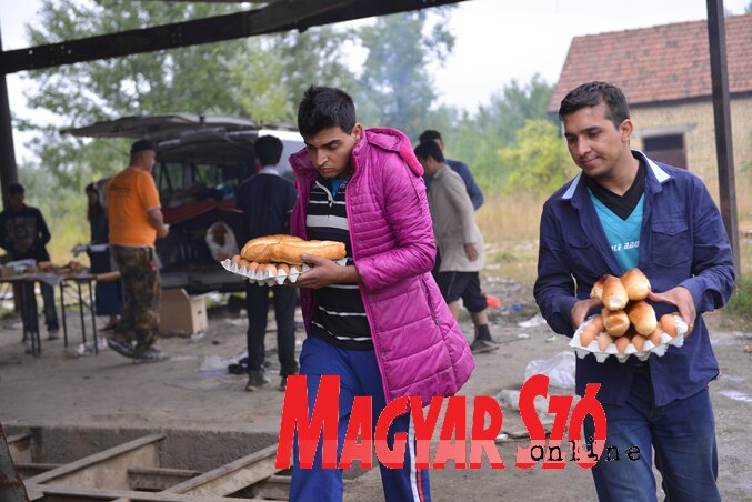 Tojást és péksütemény kaptak a menekültek Varga Tibor csapatától  (Fotó: Molnár Edvárd)