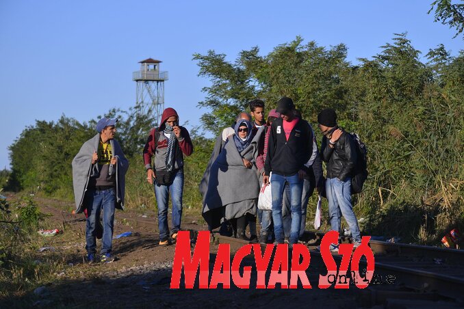 Úton – Migránsok a szerb–magyar határon (Fotó: Molnár Edvárd) Úton – Migránsok a szerb–magyar határon (Fotó: Molnár Edvárd)