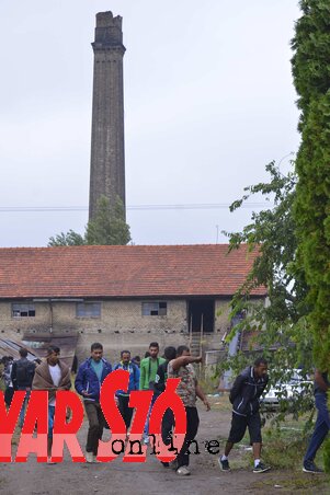 Fotó: Molnár Edvárd Fotó: Molnár Edvárd