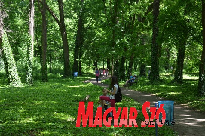 A park-erdőben minden évszakban kellemes a séta A park-erdőben minden évszakban kellemes a séta