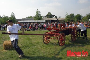 A győztes csapat jól teljesített szekértolásban is (Fotó: Csincsik Zsolt)