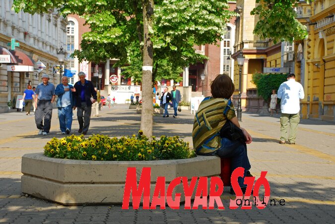 A DP szerint a városközpontnak nincs szüksége helyi közösségre (Fotó: Molnár Edvárd) A DP szerint a városközpontnak nincs szüksége helyi közösségre (Fotó: Molnár Edvárd)