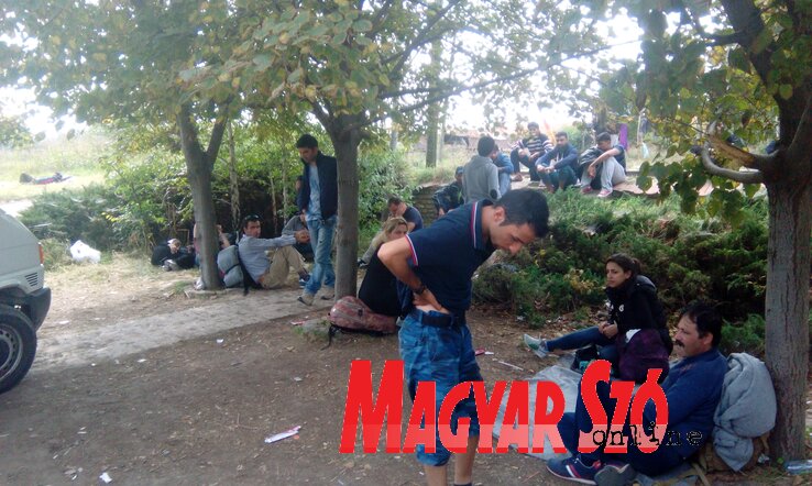 Tegnap a téglagyárnál csak néhányan voltak (Fotó: Bajtai Kornél) Tegnap a téglagyárnál csak néhányan voltak (Fotó: Bajtai Kornél)