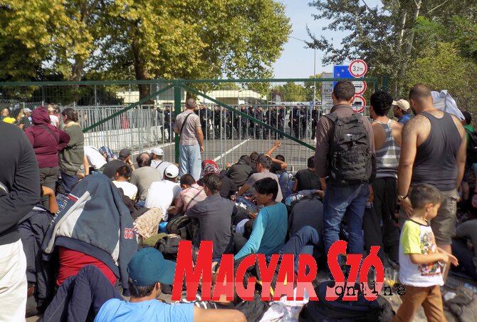 Az unió kapujában: migránsok tegnap a horgosi határátkelőnél (Kozma Rita felvétele)
