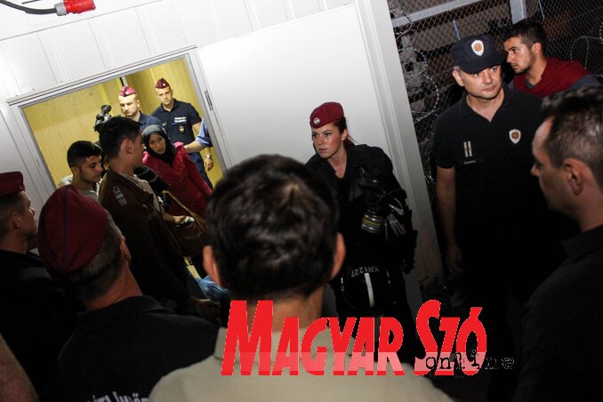 Fotó: Diósi Árpád