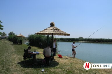 A horgászok által is kedvelt halastó a mocsári madarak mennyországa (Fotó: Fehér Rózsa)