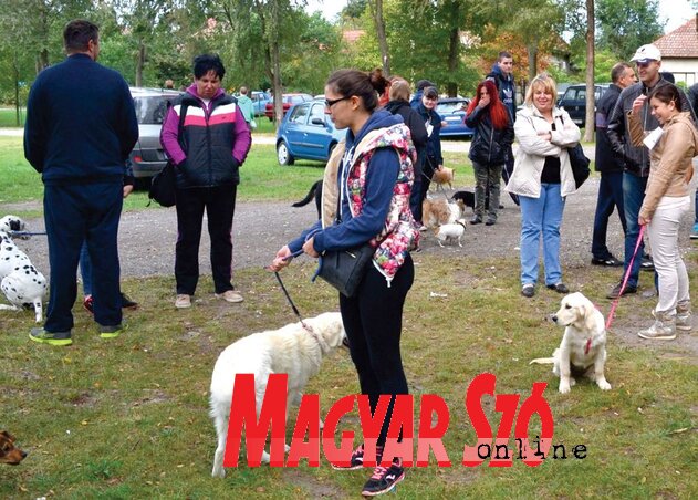 A rendezvényen a keverék és a törzskönyv nélküli kutyáké volt a főszerep (Fotó: Nagy Abonyi Dávid)