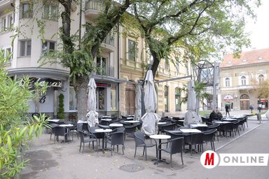 A városban kialakítható 11 télikert közül egy a dr. Zoran Đinđić téren lehet (Fotó: Molnár Edvárd)