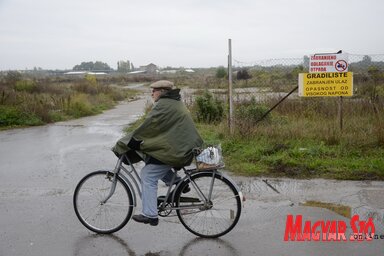 Az 55 hektáros terület teljesen letarolt állapotban van (Foto: Molnár Edvárd)