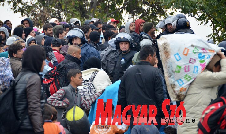 A Horvátországba való bejutásra várnak a menekültek (Ótos András felvétele)