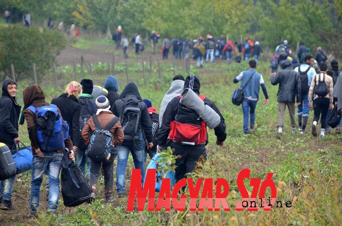 Útkeresés. Menetelés a zöldhatár felé (Ótos András felvétele)