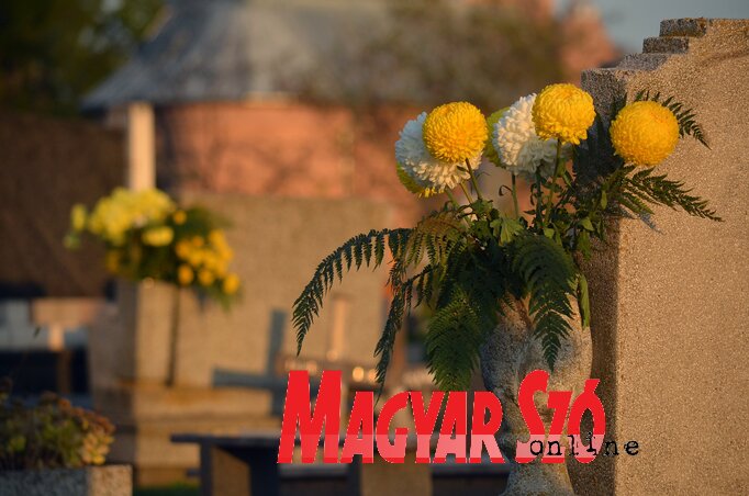 Fotó: Molnár Edvárd Fotó: Molnár Edvárd