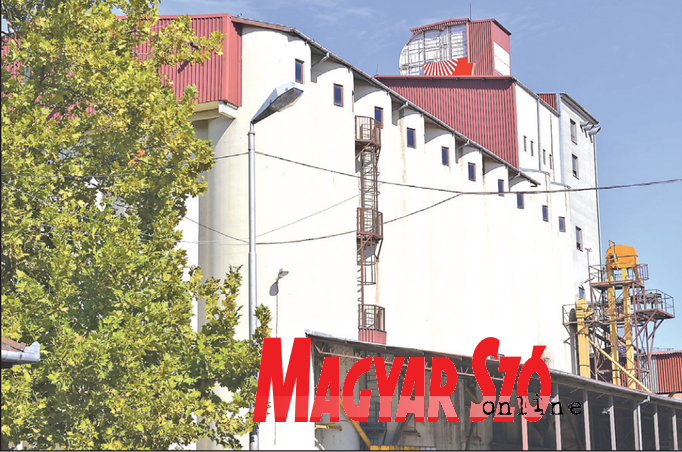 A dolgozók még a munkakönyvükért sem mehetnek be vállalatba (Fotó: Molnár Edvárd) A dolgozók még a munkakönyvükért sem mehetnek be vállalatba (Fotó: Molnár Edvárd)