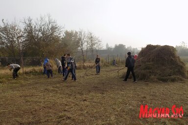 Munkában a cserkészek