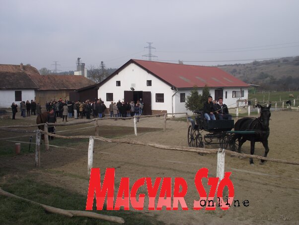 A péceli lovász és lótenyésztő szak diákjai és tanárai látványos bemutatóval és a helybeli vadászegyesület segítségével bográcsos ebéddel várták a vajdasági látogatókat (Herceg Elizabetta felvétele) A péceli lovász és lótenyésztő szak diákjai és tanárai látványos bemutatóval és a helybeli vadászegyesület segítségével bográcsos ebéddel várták a vajdasági látogatókat (Herceg Elizabetta felvétele)