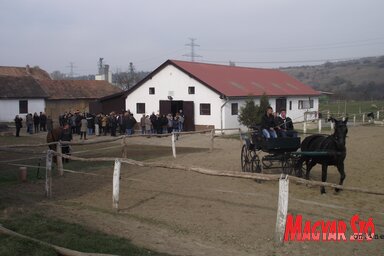 A péceli lovász és lótenyésztő szak diákjai és tanárai látványos bemutatóval és a helybeli vadászegyesület segítségével bográcsos ebéddel várták a vajdasági látogatókat (Herceg Elizabetta felvétele)