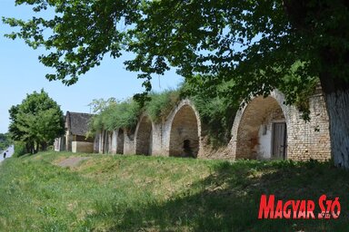 Fotó: Herceg Elizabetta