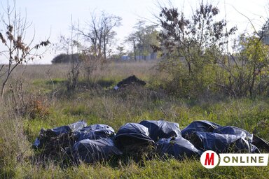 Foto: Molnár Edvárd