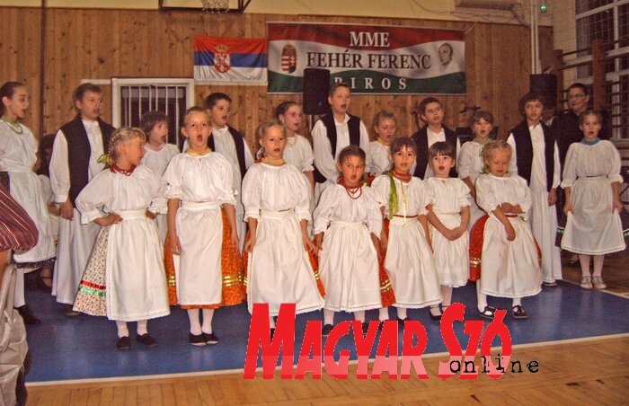 Fotó: Kocsi Zoltán Fotó: Kocsi Zoltán