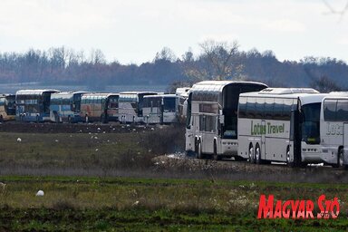 több száz autóbusz vár Preševónál arra, hogy innen Šidre szállítsa a menekülteket – távolról úgy festenek, mint egy kígyózó óriáshüllő (Ótos András felvétele)