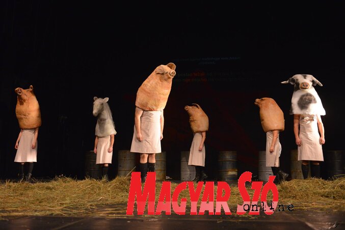 Amikor az állatok átveszik a hatalmat – jelenet az Állatfarmból (Fotó: Molnár Edvárd)