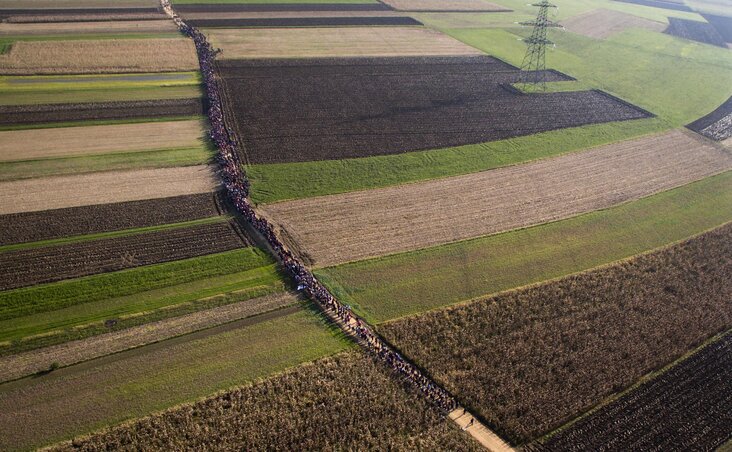 Migránsok vonulnak a szlovén-horvát határ közelében (Fotó: Beta/AP)