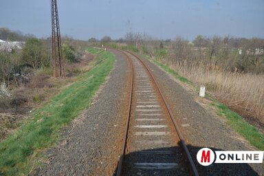 (Fotó: Ótos András)