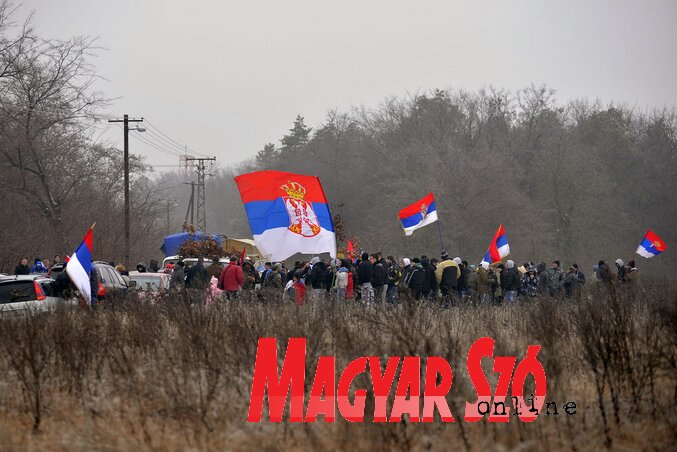 Szabadkán immár 21. alkalommal mentek több százan, szervezetten az erdőbe tölgyágat vágni (Molnár Edvárd felvétele)