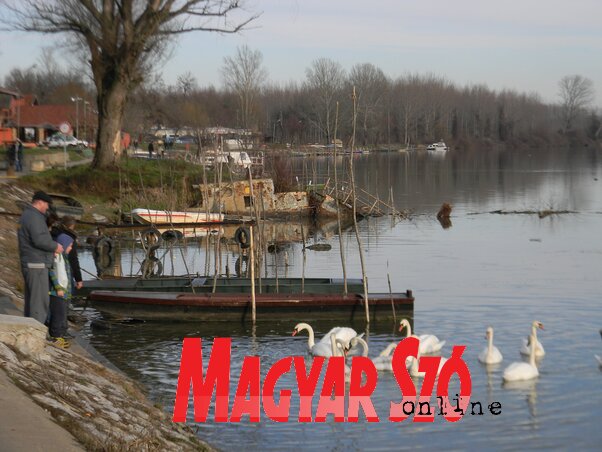 (Fotó: Fehér Rózsa)