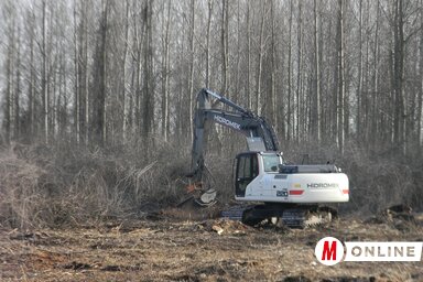 (Fotó: Fehér Rózsa)