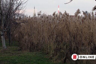 (Fotó: Kecskés István)