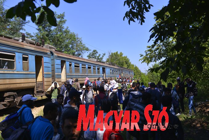 Preševóból vonattal szállították a migránsokat Szabadkára (Molnár Edvárd felvétele)