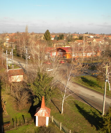 Bajsai látkép