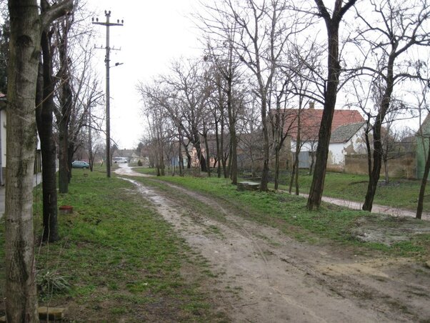 Főleg az öregek és idősek által lakott házak vannak veszélyben (Kishegyesi utcarészlet)