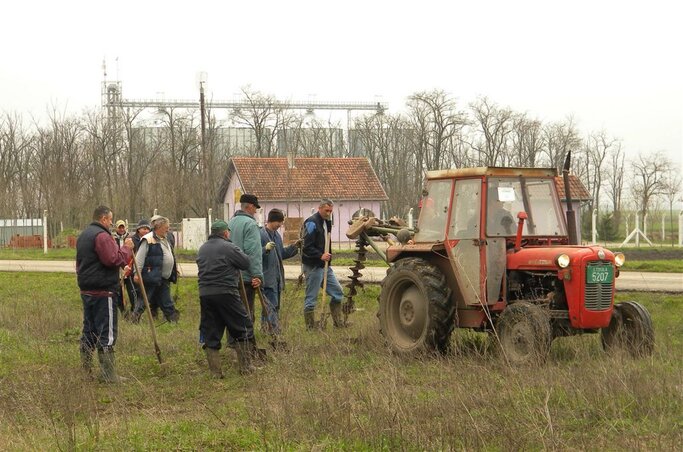 Sok résztvevő, puha talaj – gyorsan haladt a hétvégi fásítás