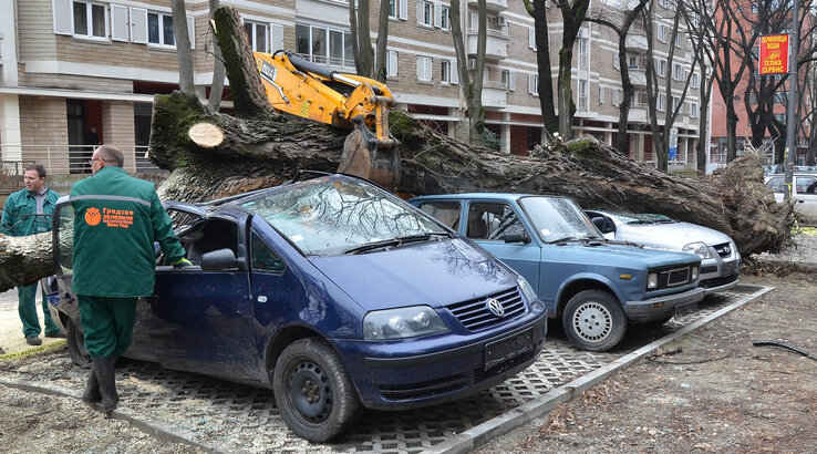 A hatalmas munkagépek átvágják a fák gyökereit, így nem kell csodálkozni, ha kidőlnek