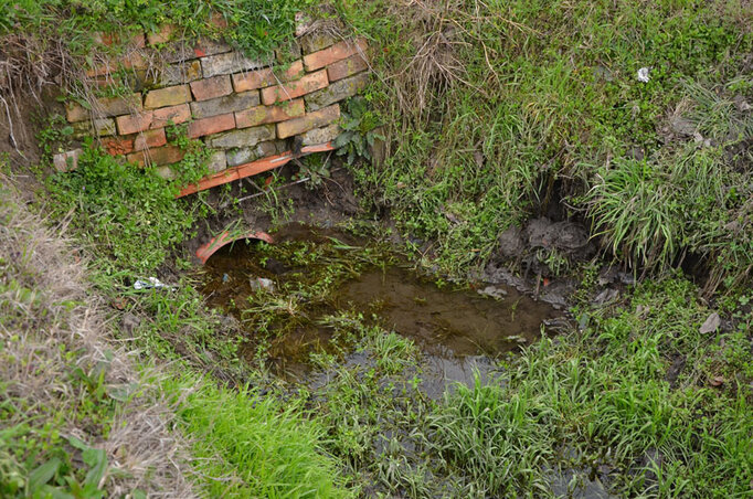 (Fotó: Molnár Edvárd) (Fotó: Molnár Edvárd)