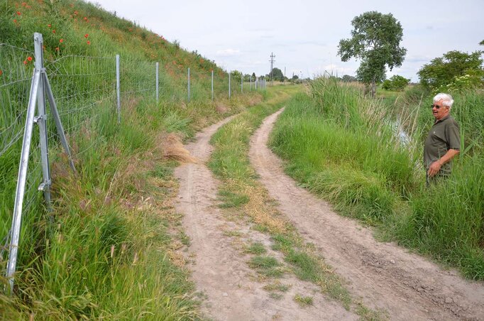 Fotó: Molnár Edvárd