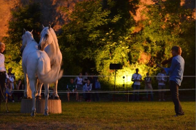 Lajkó Félix nemrégiben Kishegyesen, a Dombos Festen kápráztatta el különleges produkciójával a közönséget