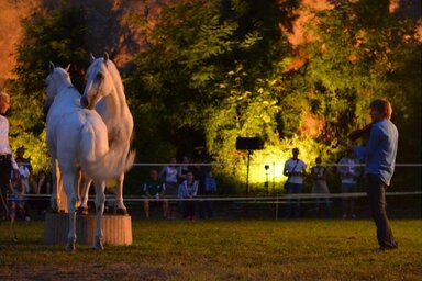 Lajkó Félix nemrégiben Kishegyesen, a Dombos Festen kápráztatta el különleges produkciójával a közönséget