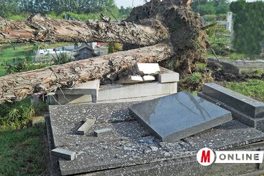 Gergely Árpád felvétele