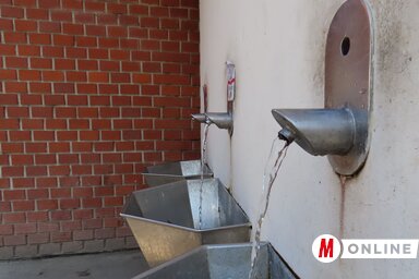 Csincsik Zsolt felvétele