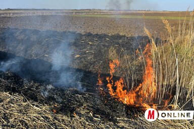 Tavaly 15 ezer tarlótüzet jegyeztek az országban (Gergely József felvétele)